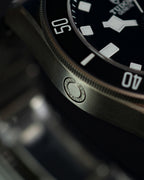 Tudor Pelagos 25600TN