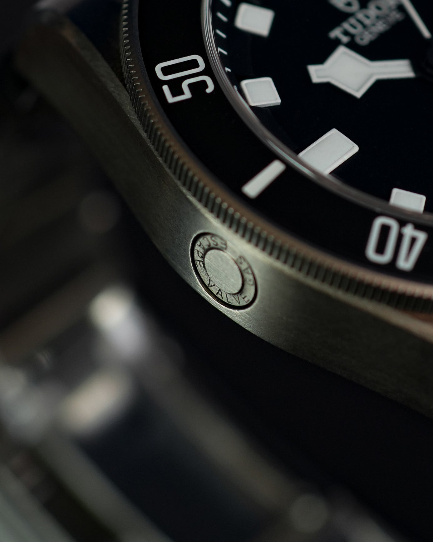 Tudor Pelagos 25600TN