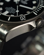 Tudor Pelagos 25600TN