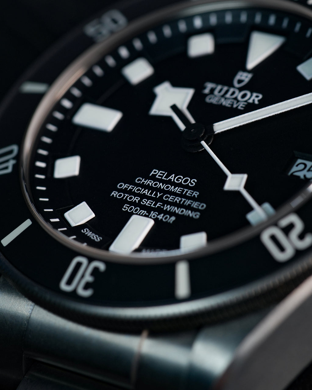 Tudor Pelagos 25600TN