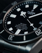 Tudor Pelagos 25600TN