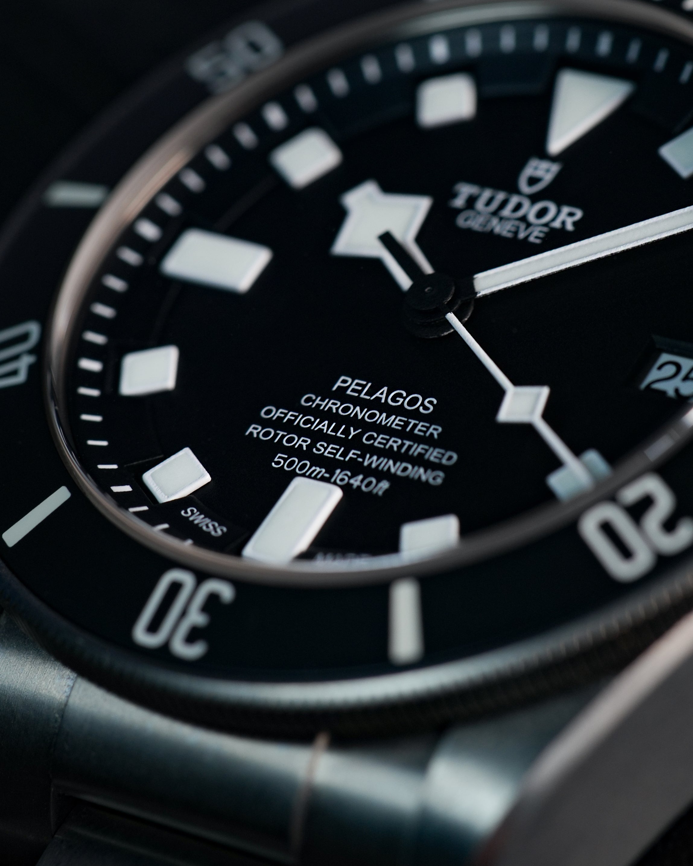 Tudor Pelagos 25600TN
