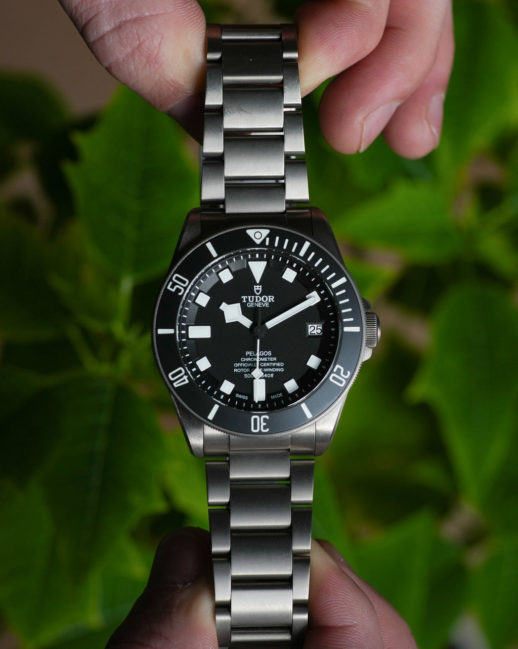 Tudor Pelagos 25600TN