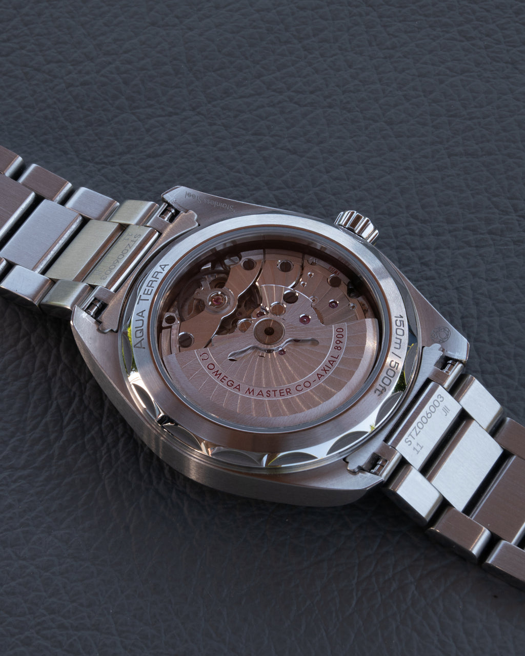 Omega Seamaster Aqua Terra 41